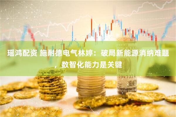 瑶鸿配资 施耐德电气林婷：破局新能源消纳难题，数智化能力是关键