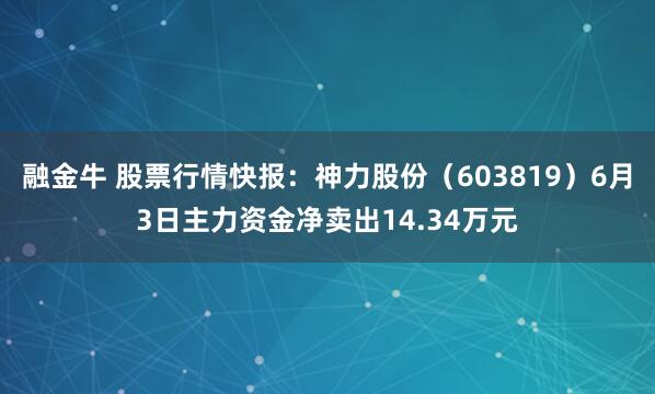融金牛 股票行情快报：神力股份（603819）6月3日主力资金净卖出14.34万元