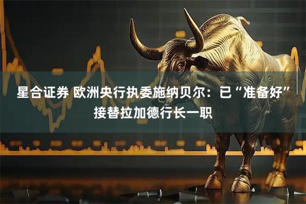 星合证券 欧洲央行执委施纳贝尔：已“准备好”接替拉加德行长一职