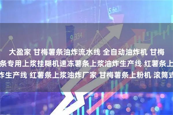 大盈家 甘梅薯条油炸流水线 全自动油炸机 甘梅薯条上浆机 法式甘梅薯条专用上浆挂糊机速冻薯条上浆油炸生产线 红薯条上浆油炸厂家 甘梅薯条上粉机 滚筒式上粉机